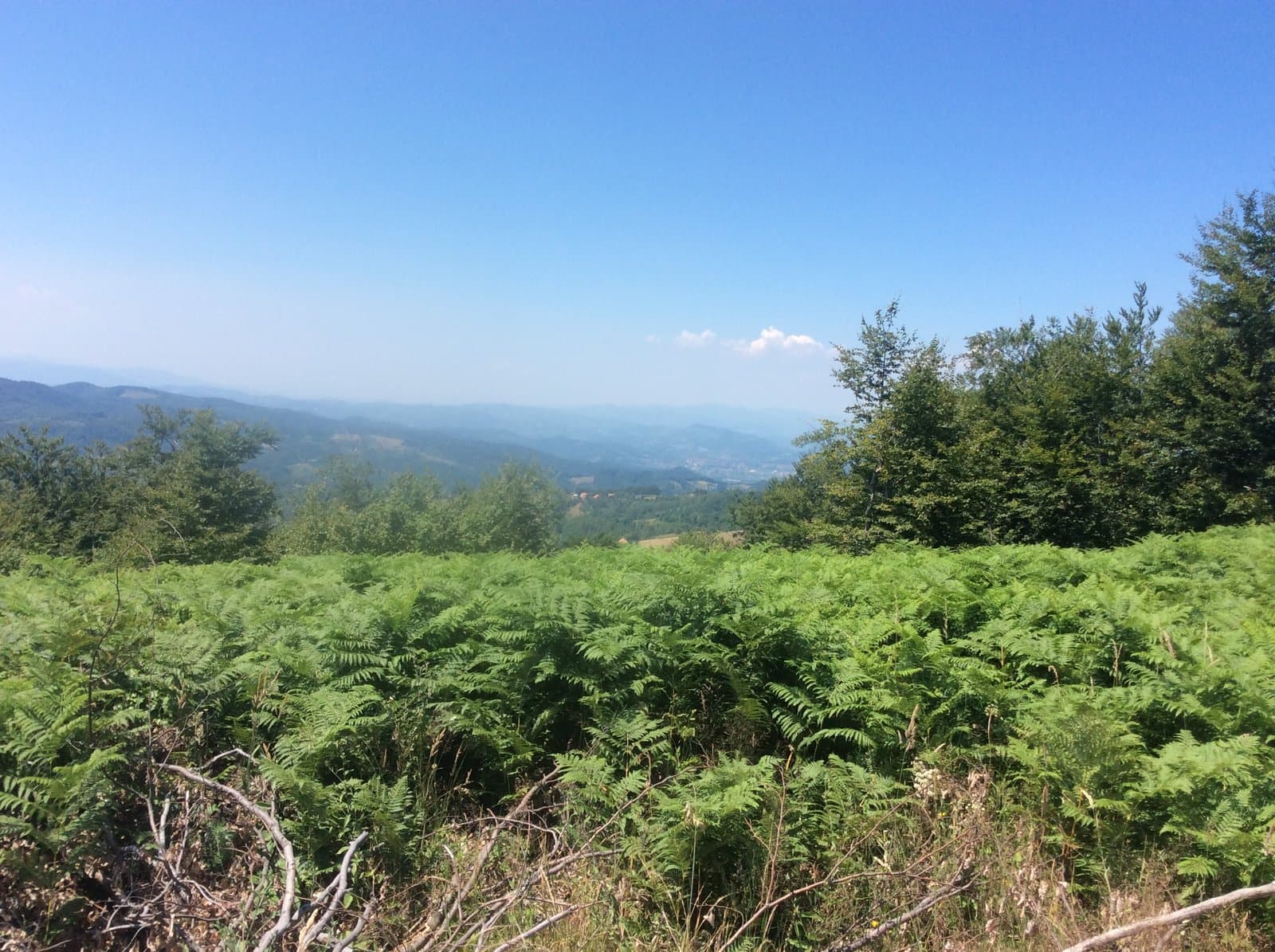 Planina panorama